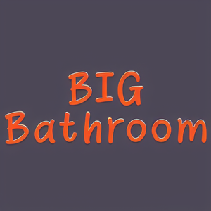 BIG Bathroom
