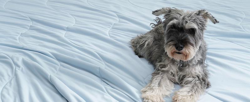 PHF Soft Cooling Blanket for Hot Sleepers and Night Sweats, Summer Cozy Breathable Blanket, Q-MAX>0.45 Absorb Body Heat & Dual-Sided Cool Design, Ideal Gift