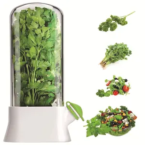 Vegetable Preservation Box - Clear Herb Saver Design with Anti-Crush Function, Long-Lasting Fresh-Keeping Container for Herbs & Greens, Universal for Refrigerator Use
