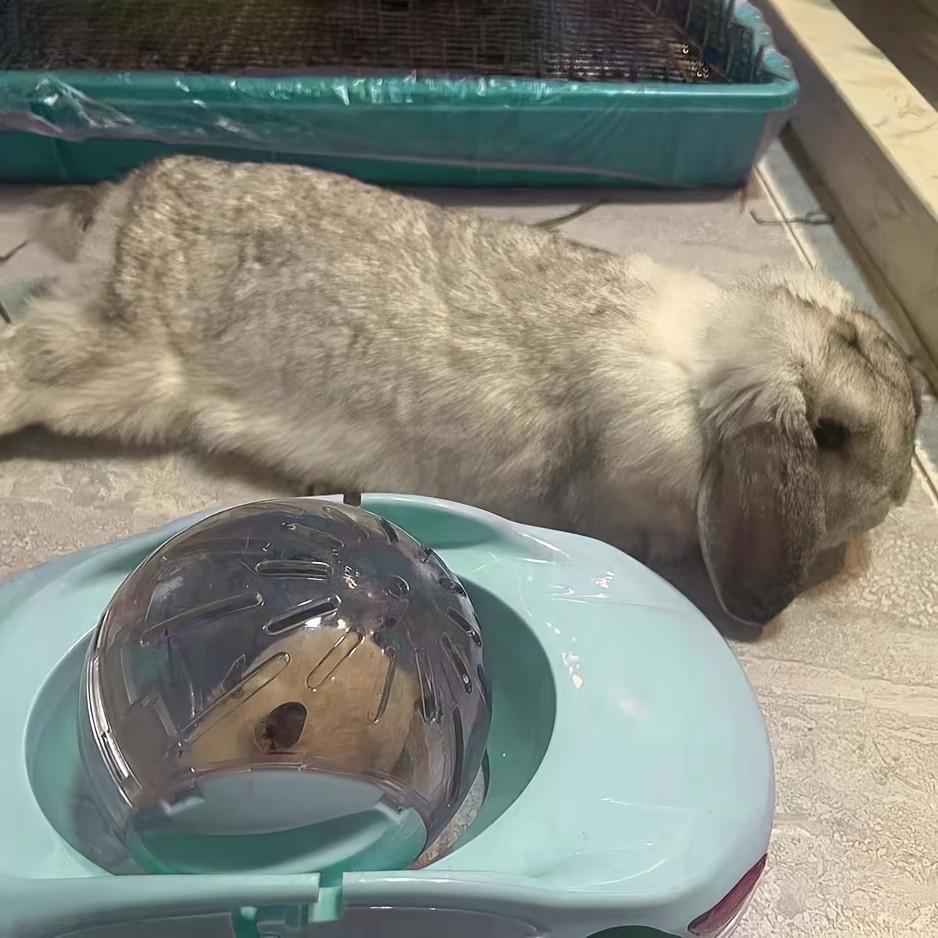 Large Hamster Exercise Wheel Ball Toy, Durable Hamster Roller, Suitable for Small Pet Cages, Promotes Exercise and Entertainment