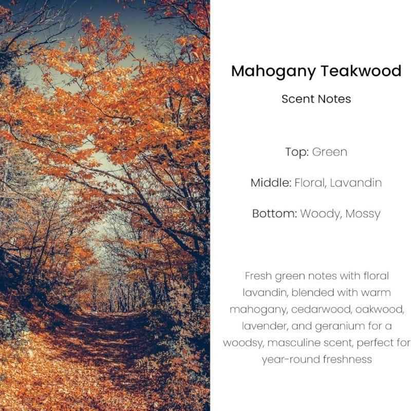 3Pack Car Air Fresheners Hanging Scent Oil Diffuser,8ML Nature Frangrance Friut Juciy Perfume Last Long Time With Three Scents For Car & Live Gifts