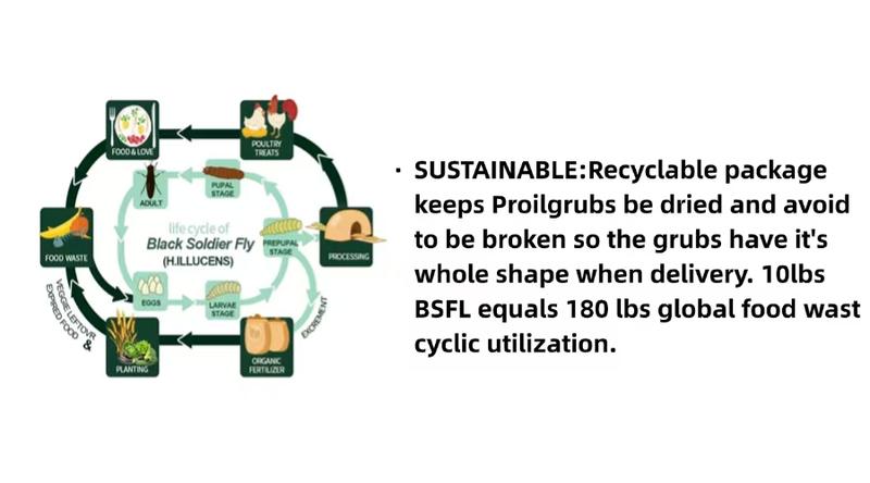 11LBS Non-GMO-Dried Worms for Chickens All Natural Dried Black Soldier Fly Larva Treats, Dried Meal Worms for Chickens, Hens, Birds... Dry Food