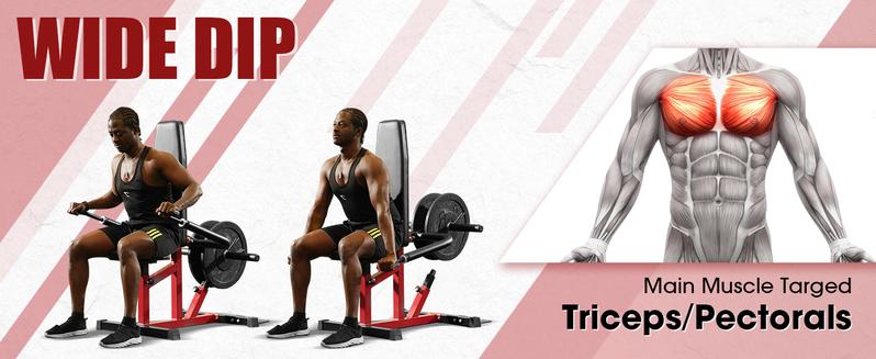 Seated Dip Machine with Cable Bar for Biceps Chest Training, Load Capacity Up to 400LBS, Durable Fitness Equipment Weight Plates Heavy Duty Adjustable