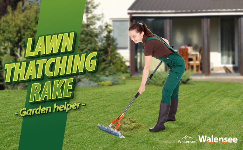Walensee Thatch Rake, 15-Inch Lawn Thatching Rake, Robust Dethatcher Rake, Efficient Steel Metal Rake with Handle, Versatile Grass Grooming Rake for Cleaning Dead Grass