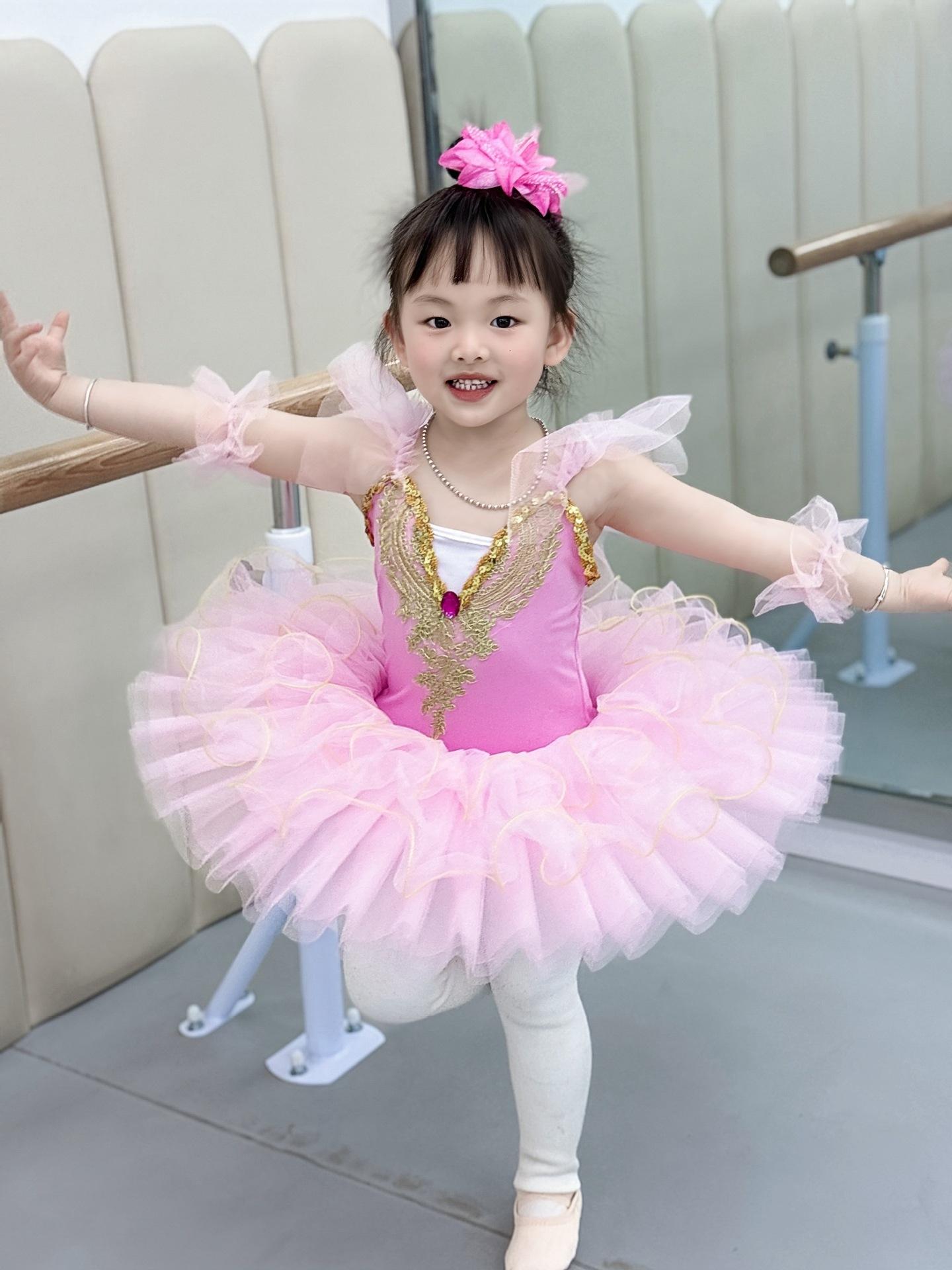 Girls' Little Swan Ballet Dance Dress New Soft Tulle Puffy Princess Dress Comfortable and Breathable Children's Stage Performance Outfit Girls' Dance Practice Versatile Tulle Dress