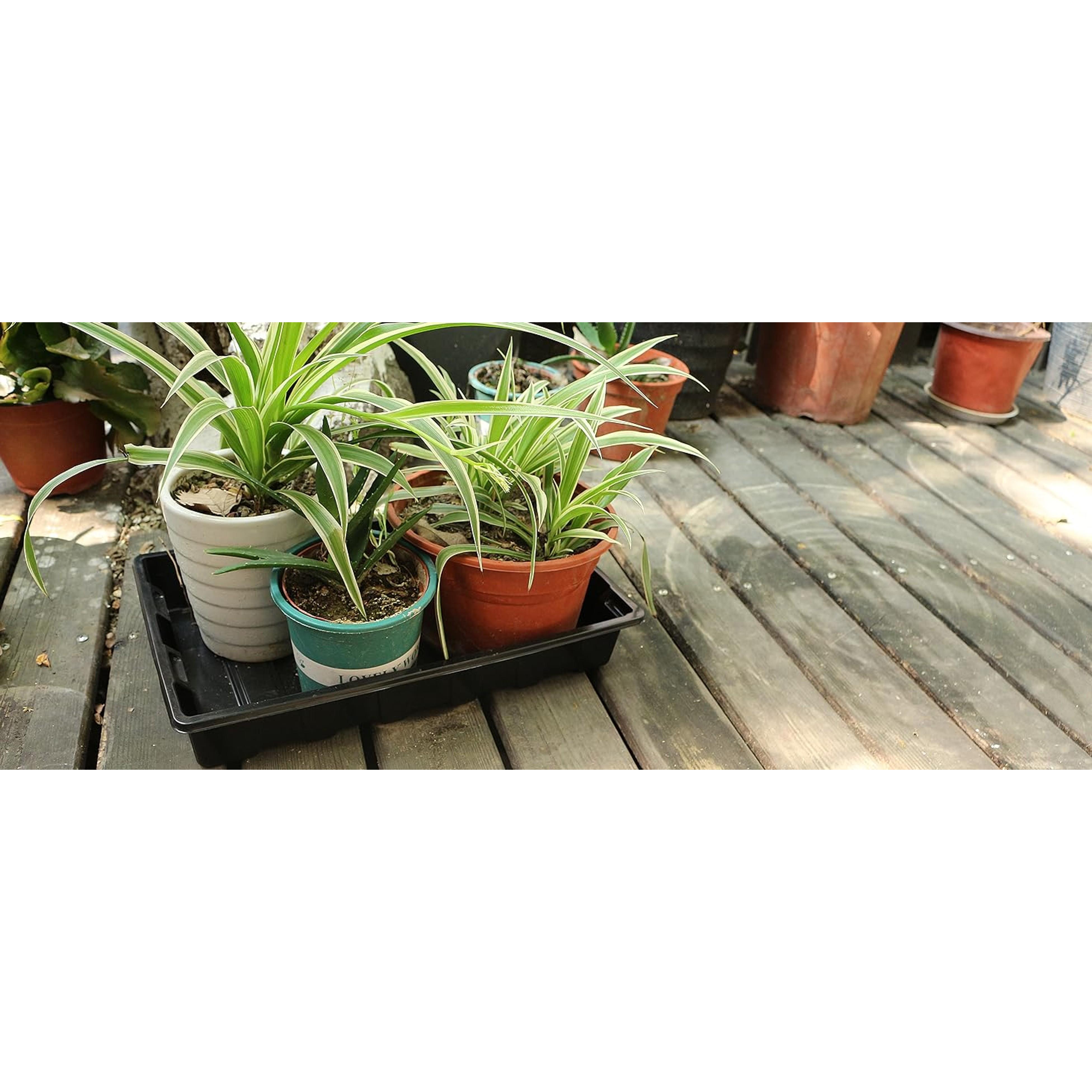 10 Pack Seed Trays, Reusable Plant Grow Trays, Ideal for Seed Starting, Microgreens, Indoor Gardening, and Greenhouse Nurseries - No Drain Holes, 14.5"x9"