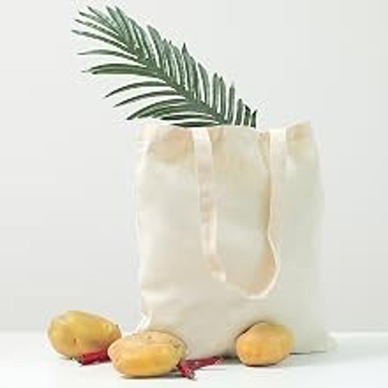 Canvas Tote Bags, 15 x 16 in – 100% Cotton Blank Reusable Grocery & Craft Tote Bag with Long Handles