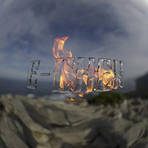 Echen Phone Case Shop