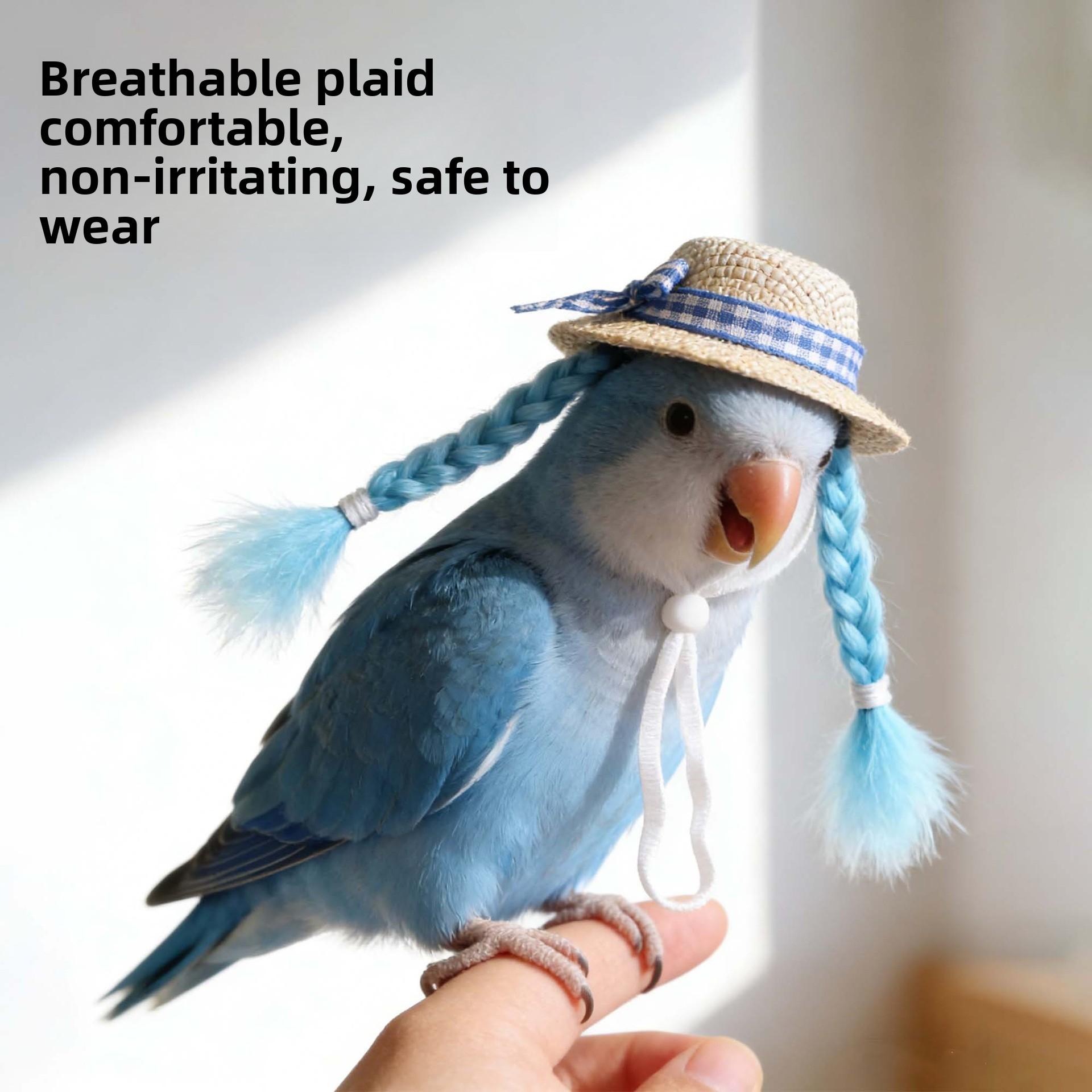 Pet decoration hamster hat, golden hamster decorative wig hat, parrot small hat, budgerigar and cockatiel small pet accessories DIY Metal Cat Playpen with Skylight Multi-Level Rabbit Hutch Run