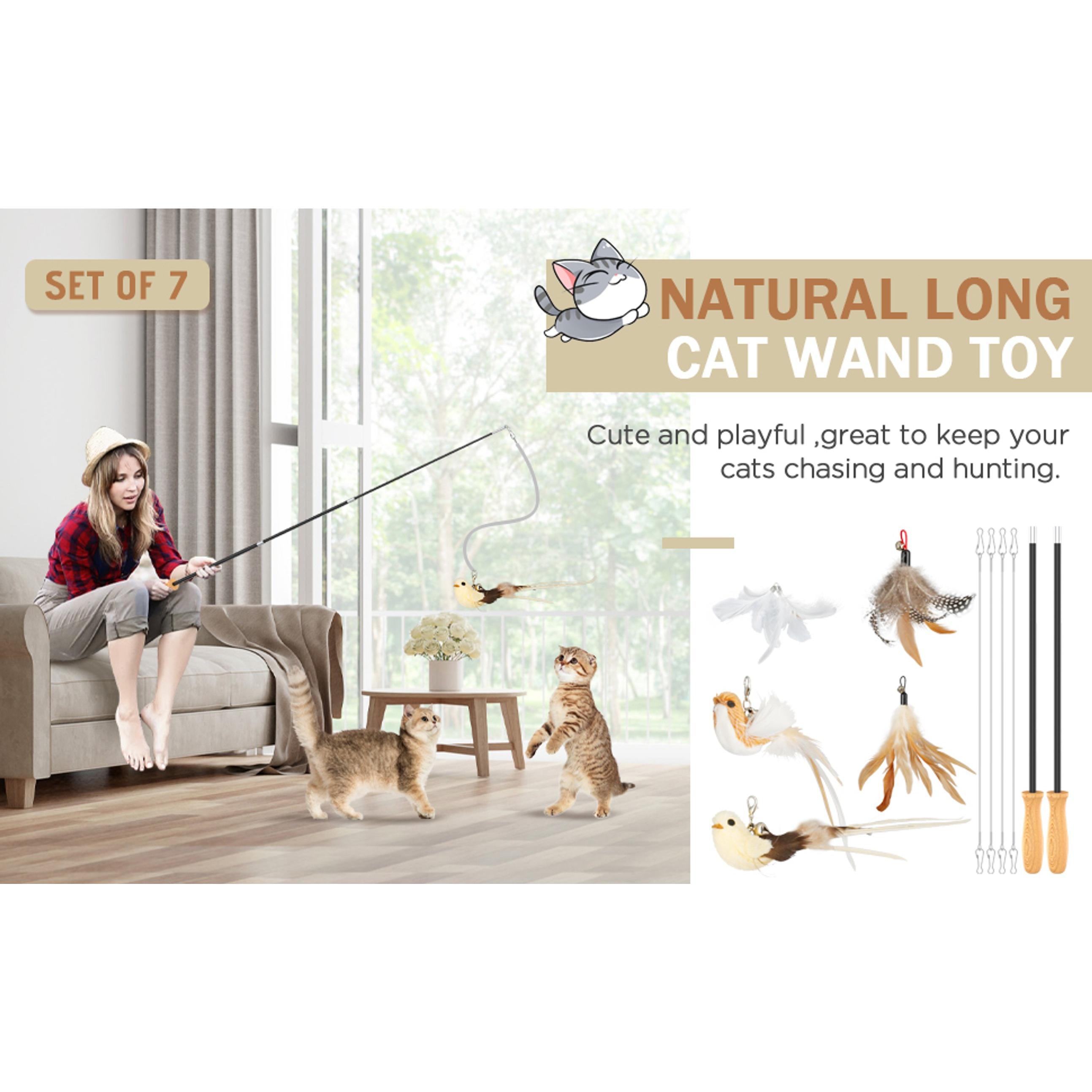 Cat Teaser Wand Toys, Interactive Bird Toys for Indoor Kittens, 42.15’’ Long Cat Fishing Pole Toys, 2Pcs Wires and 5Pcs Natural Refills, Sustainable Wooden Handles, Exercising, Playing