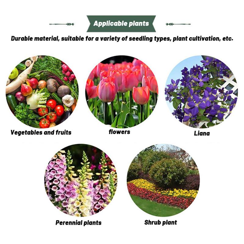 Transparent PVC Seedling Insulation Cover Set 6 Pieces Family Balcony Vegetable Garden Balcony Vegetable Garden Vegetable Planting Base Planting Tools Home Growing