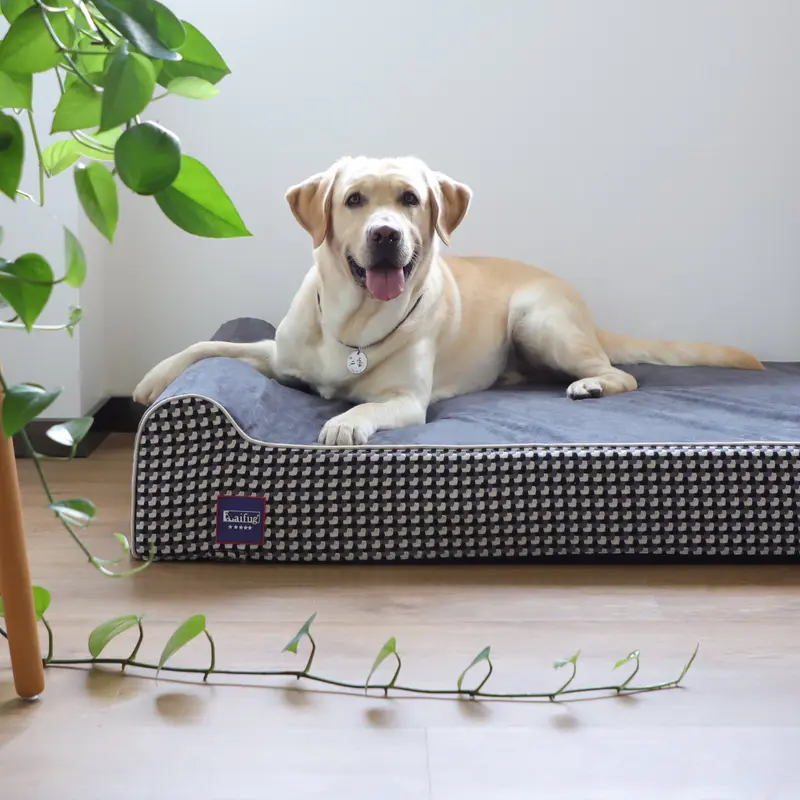 Product Introduction of Laifug Orthopedic Memory Foam Extra Large Dog Bed with double Pillow (50"x36"x10") Durable Water Proof Liner & Removable Washable Cover & Smart Design 25