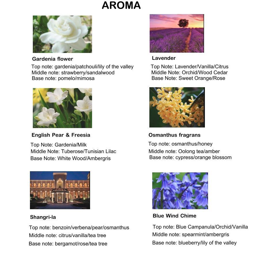 50ml Reed Diffuser with Stick, Aromatherapy Essential Oil Diffuser, Home Fragrance Reed Diffuser for Bathroom, Bedroom, Living Room, Office