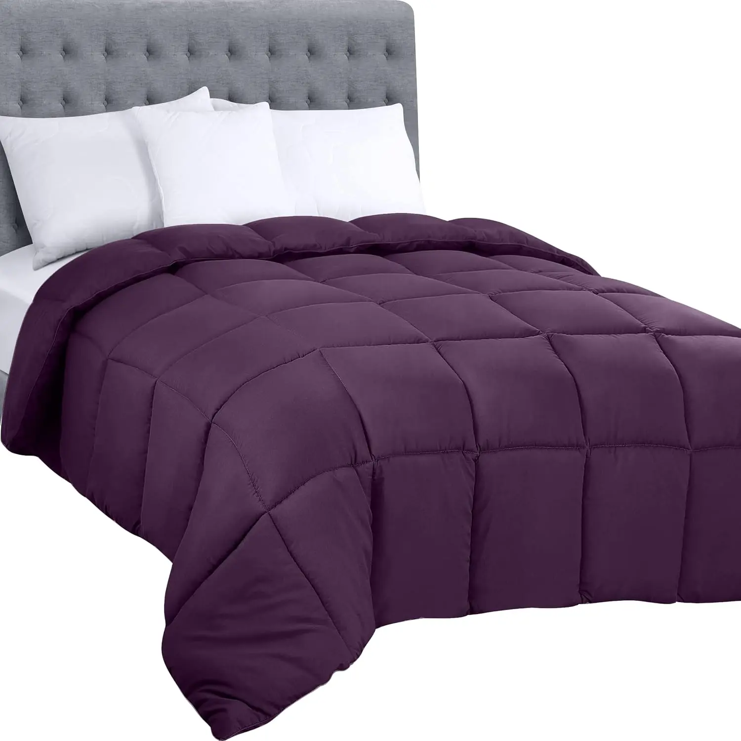 Plum