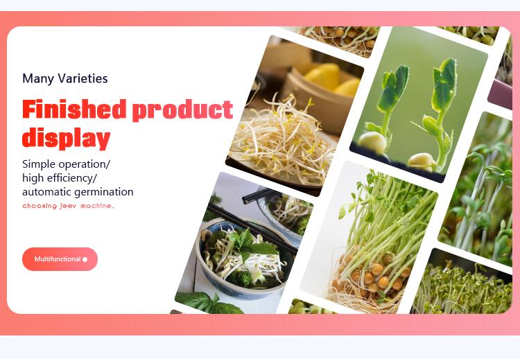 Bean sprout machine fully automatic multi-box multi-function commercial large-scale bean sprout equipment factory use