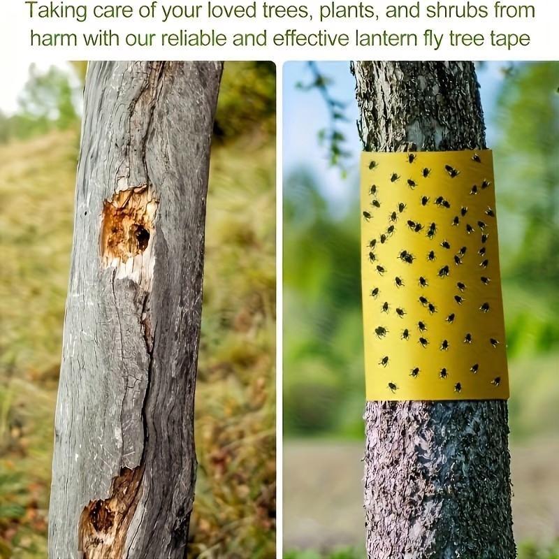 Dual-Sided Sticky Insect Barrier Tape, Outdoor Pest Control, Self-Adhesive, Prevents Whiteflies, Ants, Moths, Suitable for Trees and Gardens