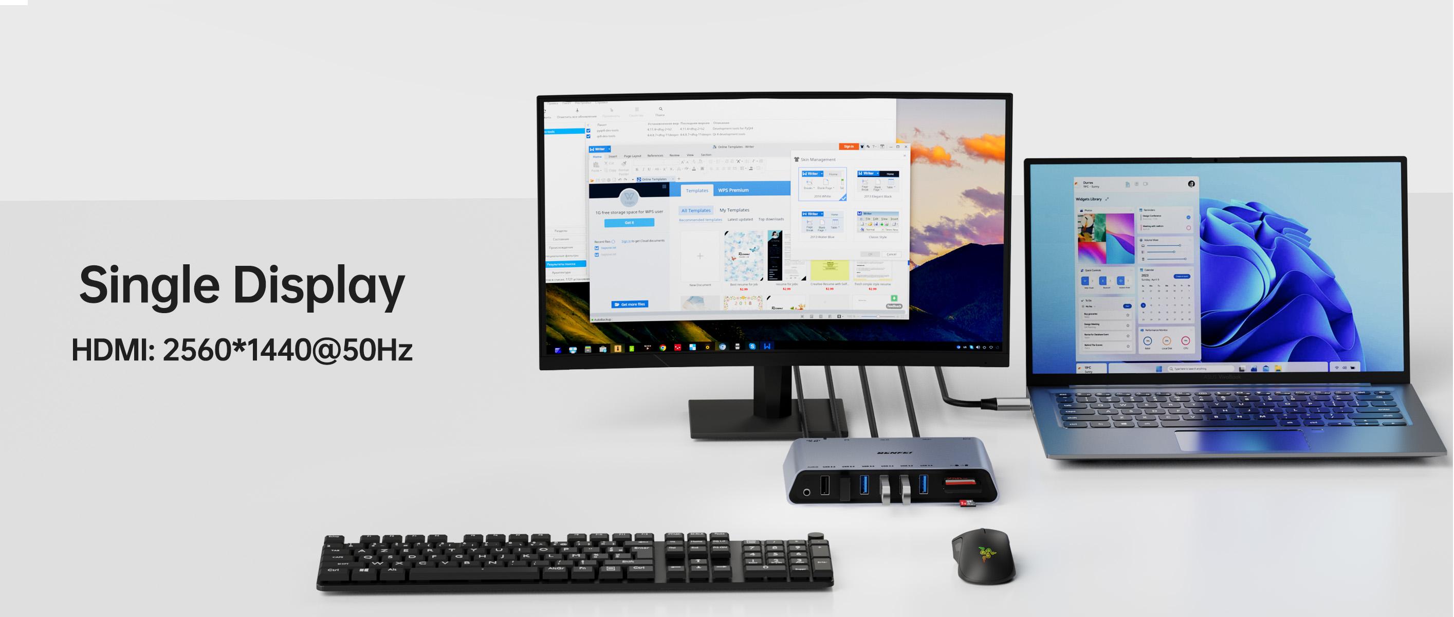 BENFEI DisplayLink 12-in-1 USB 3.0 Universal Docking Station with Dual ...