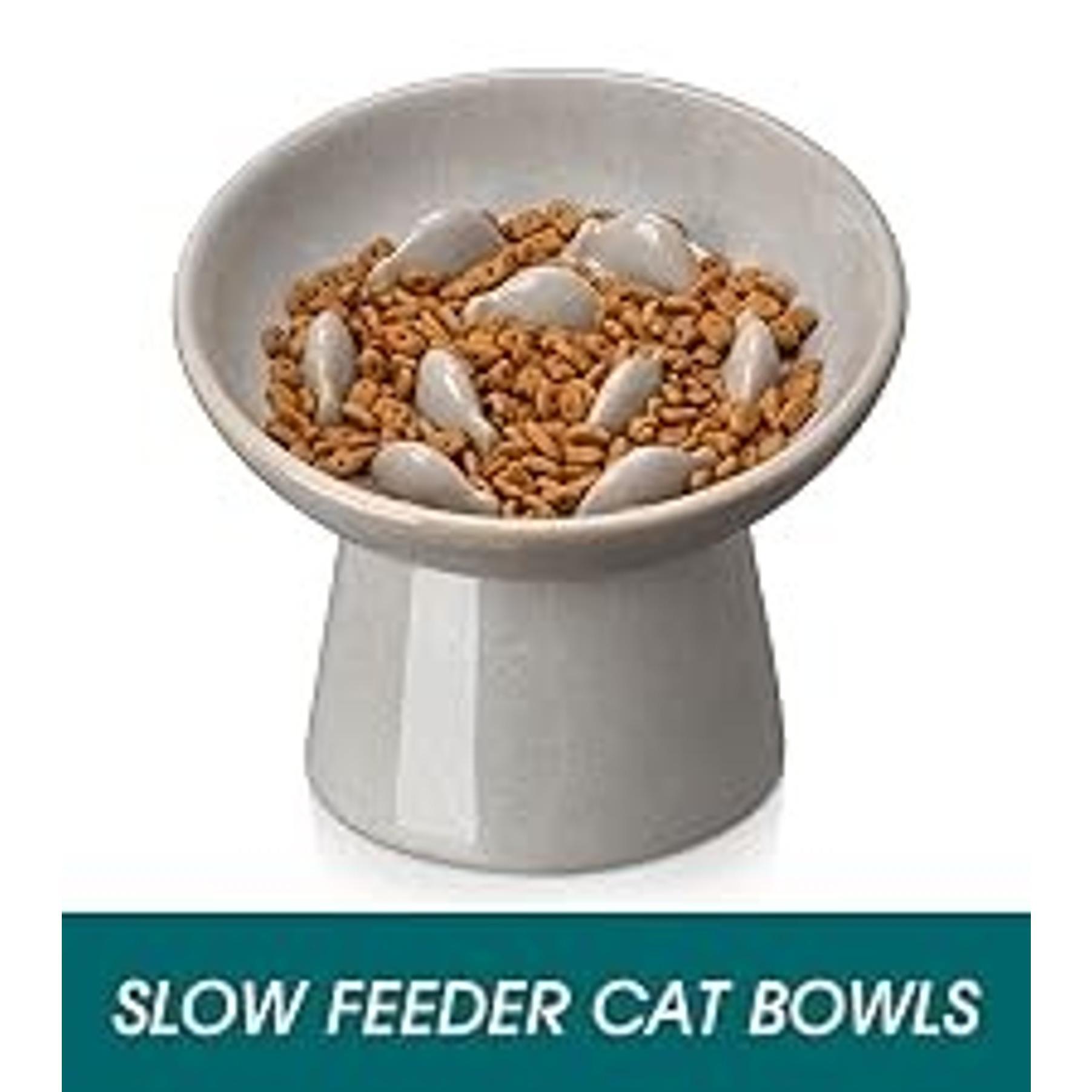 Elevated Ceramic Slow Feeder Cat Bowl, 6.25in Anti-Vomiting Bowl for Dry & Wet Cat Food, White, Elevated Bowl