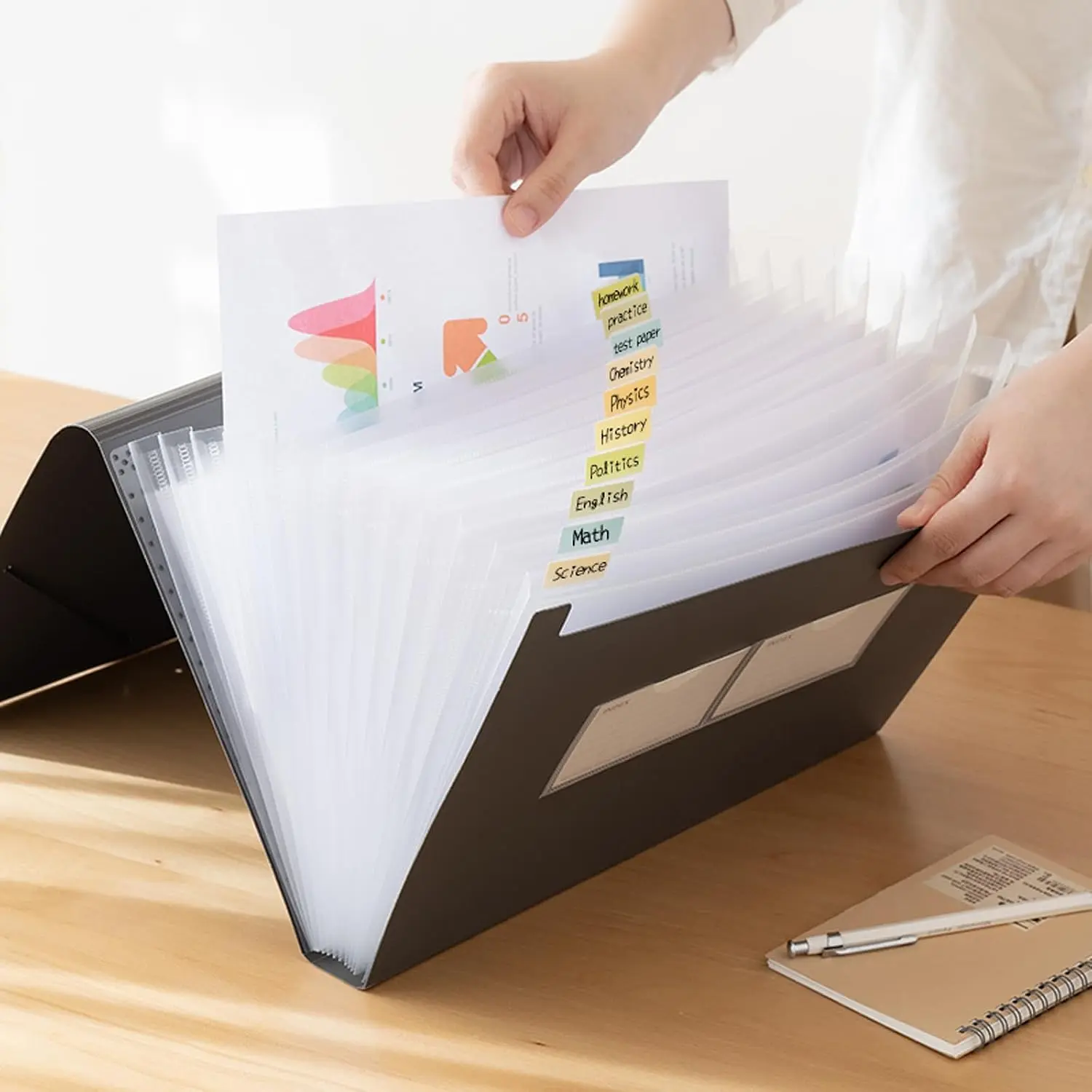 Expanding File Folder with Tabs, 13 Pockets File Organizer Accordion File