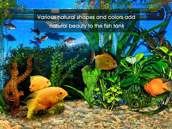 10 LBS Aquarium Gravel River Rock Stones, Natural Decorative Polished Mixed Colorfl Gravel,Outdoor Decorative Stones for Plant Aquariums, Landscaping, Vase Fillers