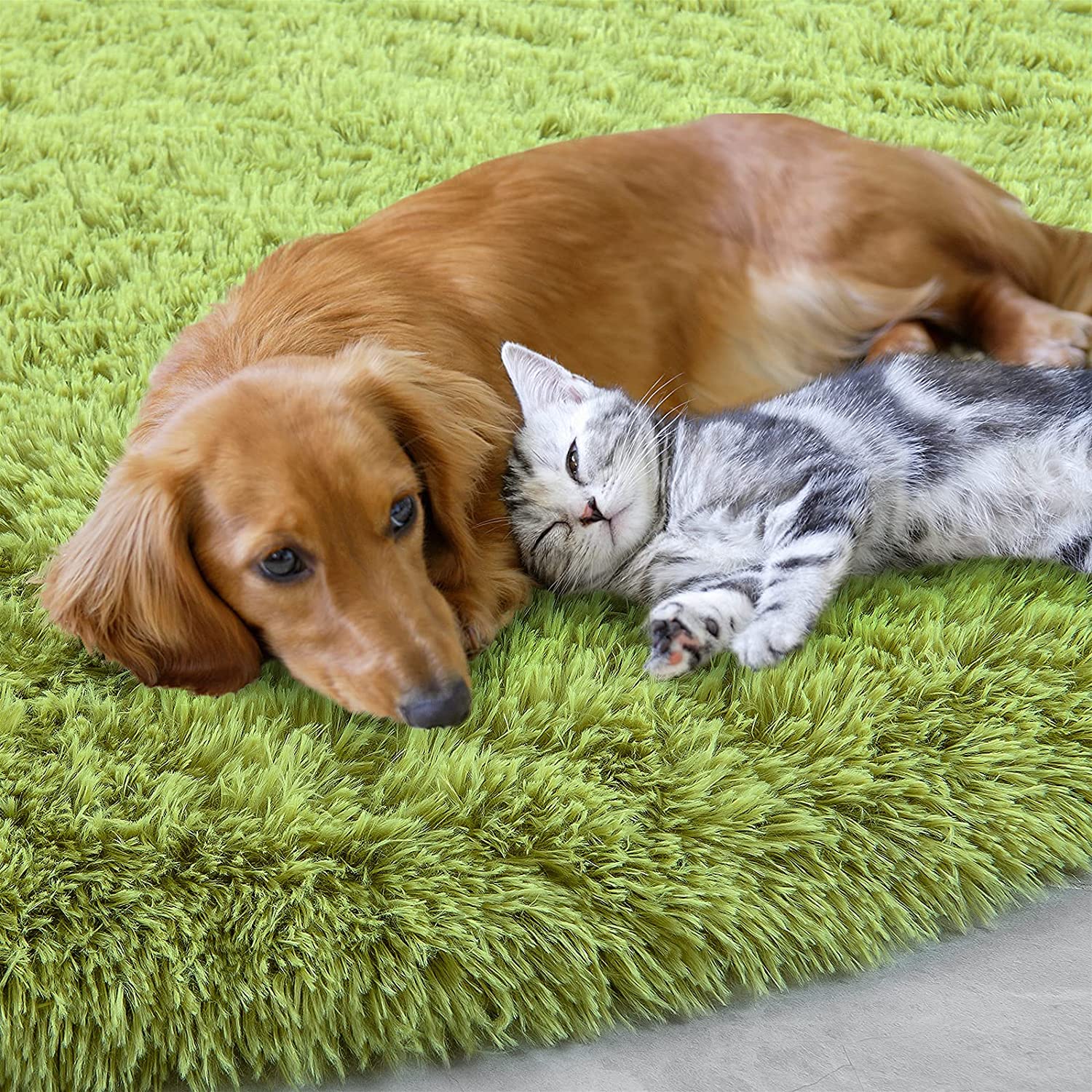 Lochas Round Rug for Bedroom,Super Fluffy Circle Rugs for Baby Nursery,Furry Carpet for Children Kids Room,Cute Soft Shaggy Area Rug for Girls Home Decor For Dorm Non-slip