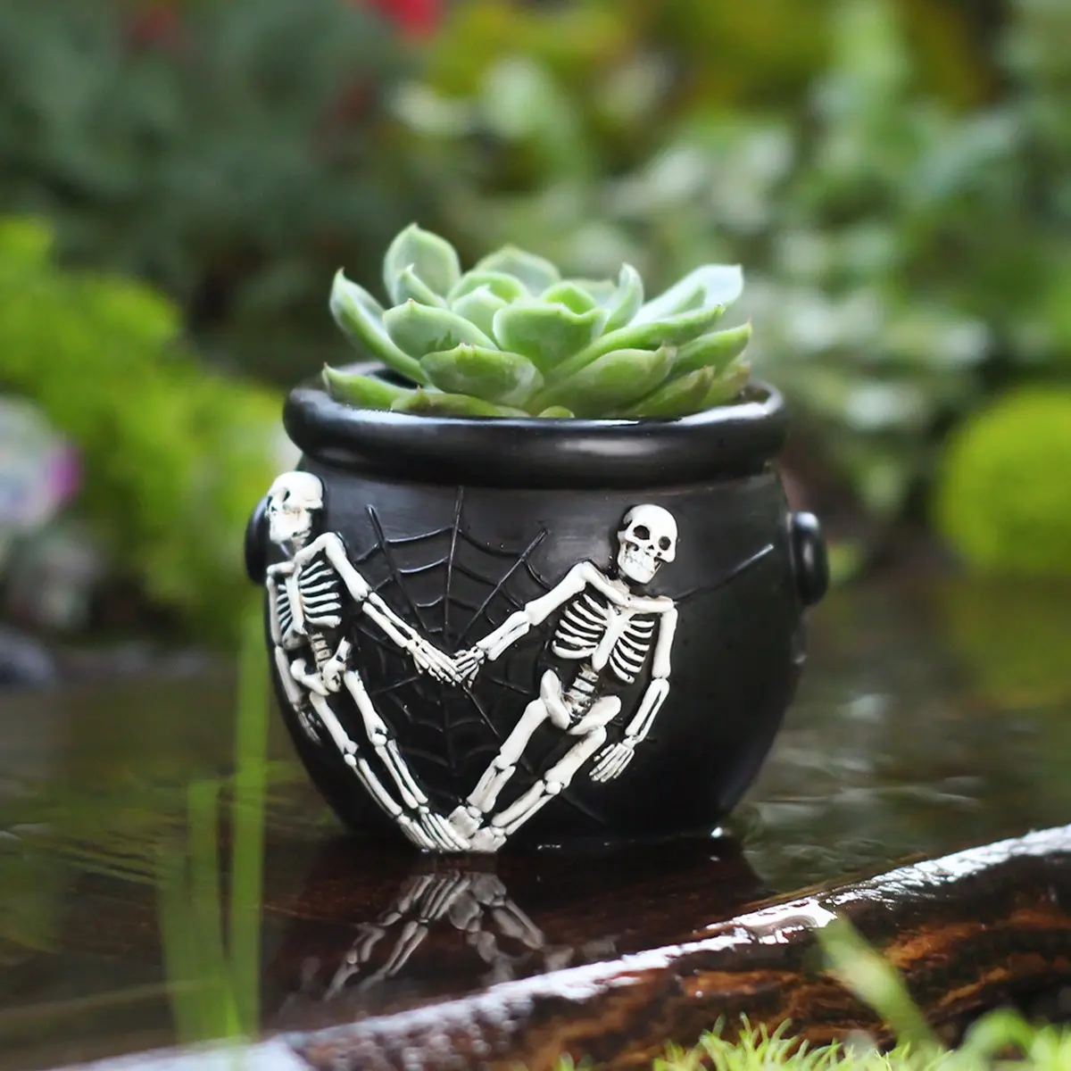 Halloween Relief Skull Witch Cauldron Flower Pot, Gothic Succulent Plant Container, Eerie Home Desktop And Garden Decoration Resin Ornament.