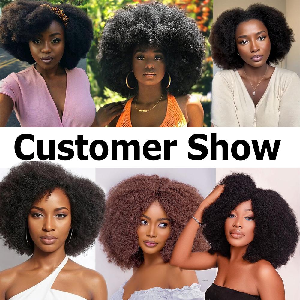 Imani 14 Inch Afro Kinky Curly Wig Short Curly Wig Human Hair for Black Women 250% Density 13x4x2 HD Lace Frontal Wig for Daily Use with Natural Hairline Affordable Wig