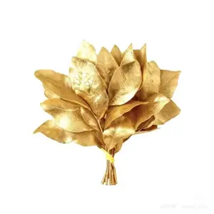 background preload poster image 