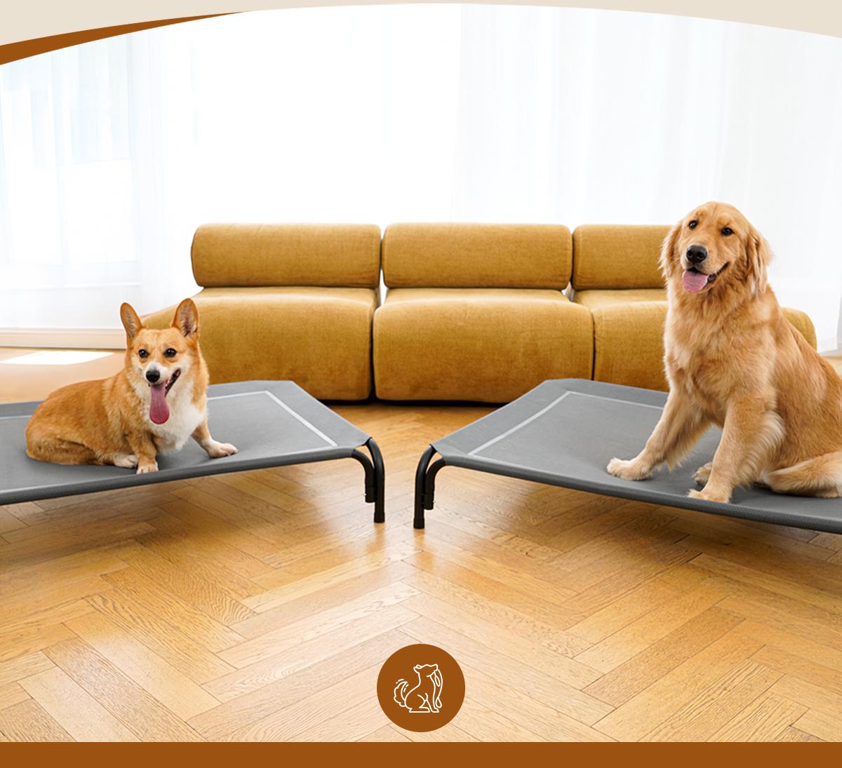 【VALUXE】 New Portable Elevated Dog Beds for Large Sized Dogs,Breathable Pet Cot with Non Slip Feet,Indoor Outdoor Use Pet Bed with Metal Frame FallFreshness