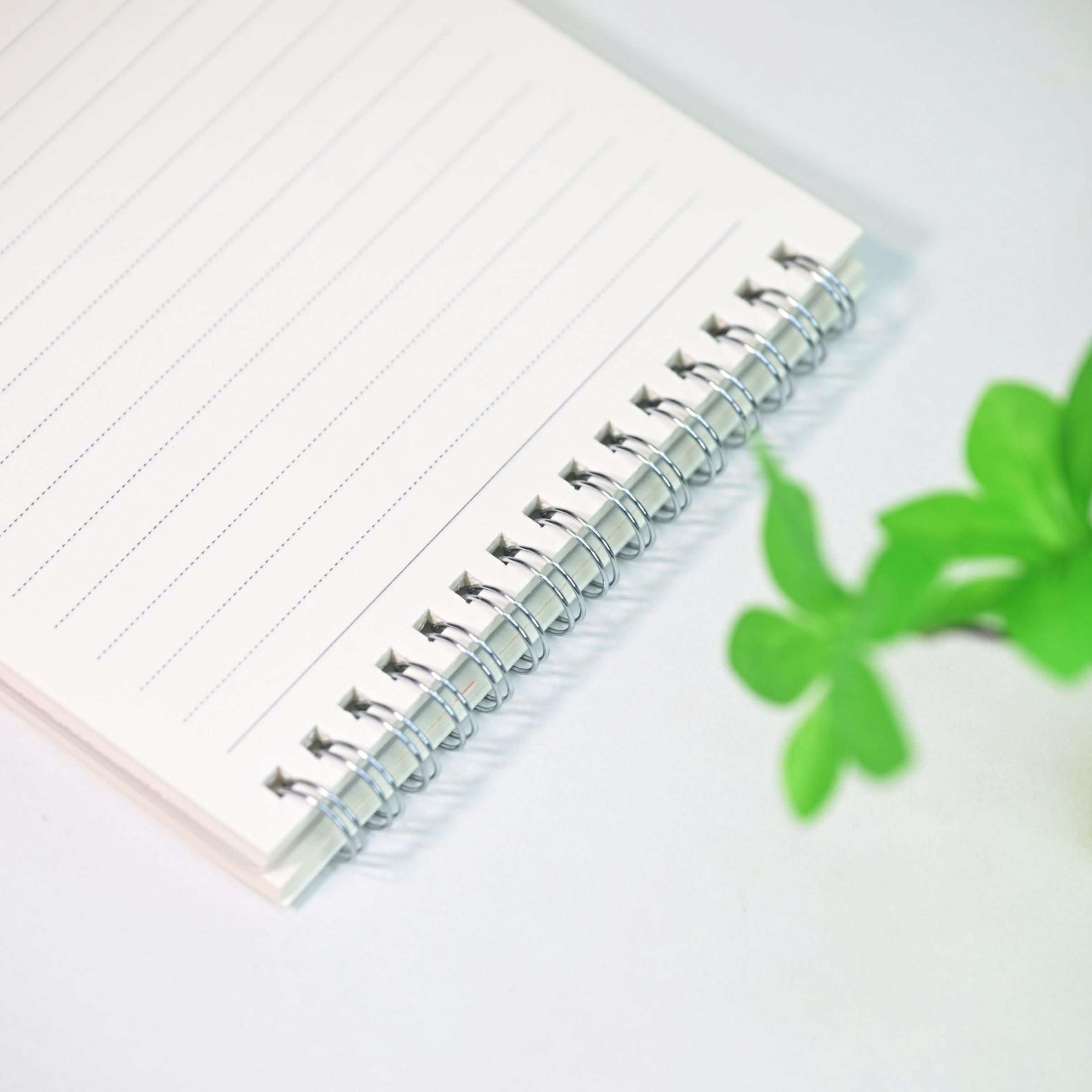 A5 Transparent Coil Notebook Set, 80 Sheets/160 Pages, Thick Lined/square/blank Notebooks, Ideal for Daily Diary, Office Notes, Academic Use