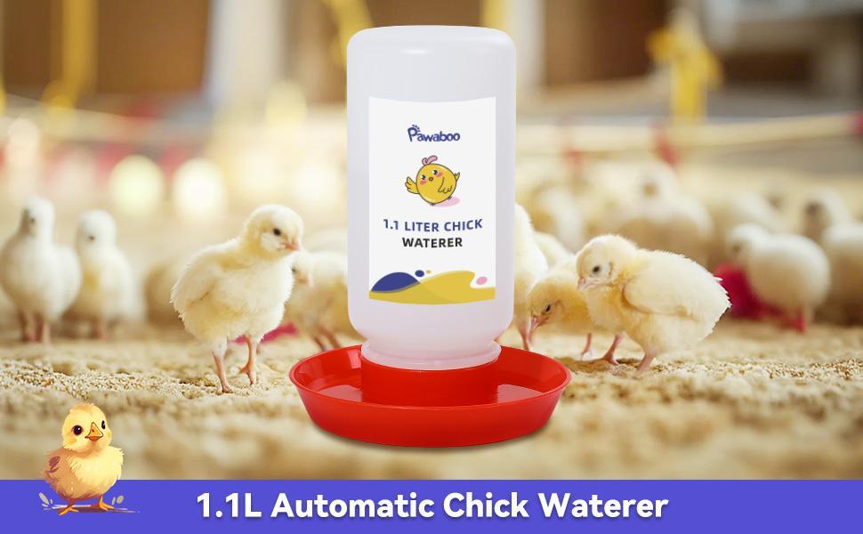 Pawaboo 5-in-1 Chicken Brooder Box for Chick Starter Kit, Includes Pet Cage Tent, Chicks Perch, Chick Feeder, 1.1L Chick Waterer, Baby Chick Supplies (Brooder Set), Green + Red + Wood Color