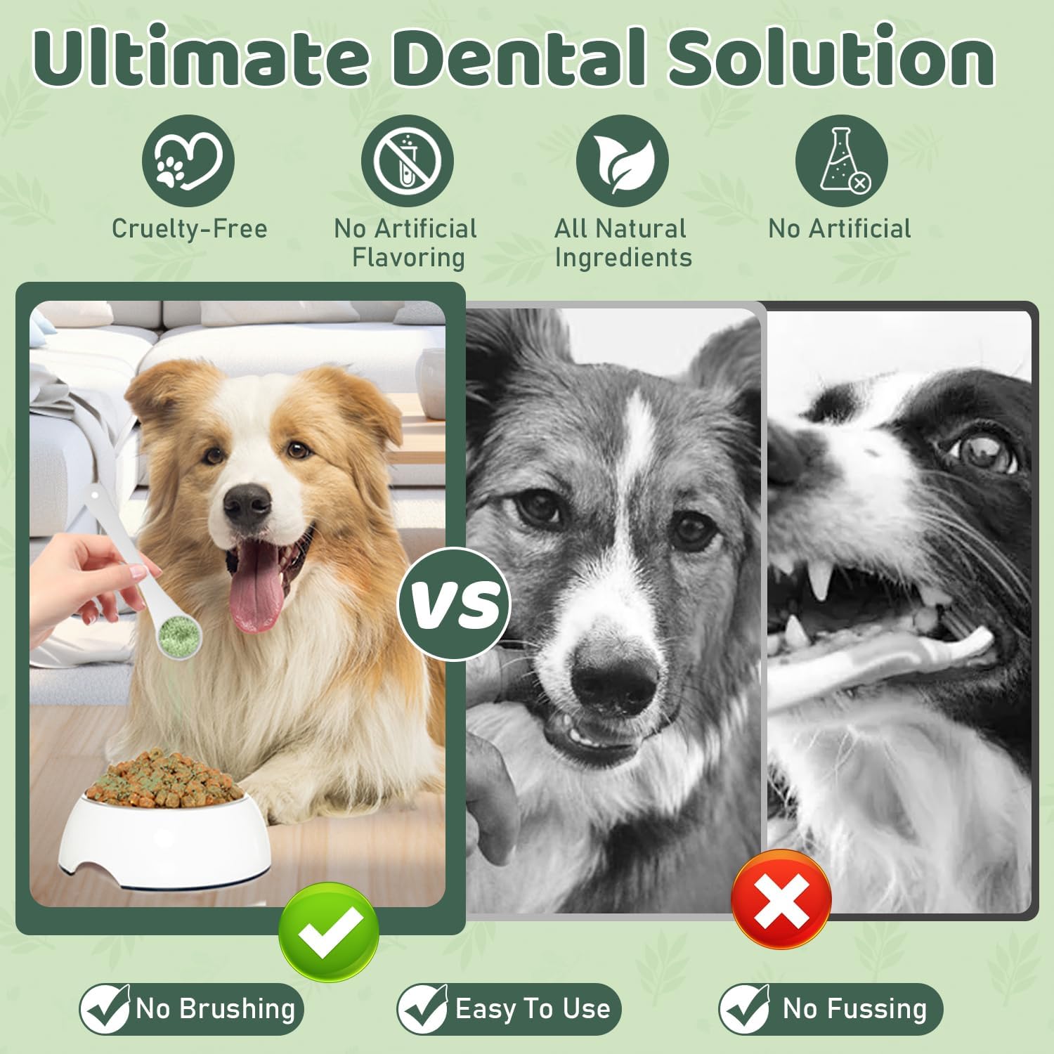 Dog Teeth Cleaning Powder - Dog Dental Powder -whiten teeth,and freshen breath Targets Tartar & Reduces Plaque & Bad Breath - Teeth Cleaning Made Easy for Small, Medium, Large Dogs-150g Dog Teeth Cleaning Powder - Dog Dental Powder -whiten teeth,and freshen breath Targets Tartar & Reduces Plaque & Bad Breath - Teeth Cleaning Made Easy for Small, Medium, Large Dogs-150g