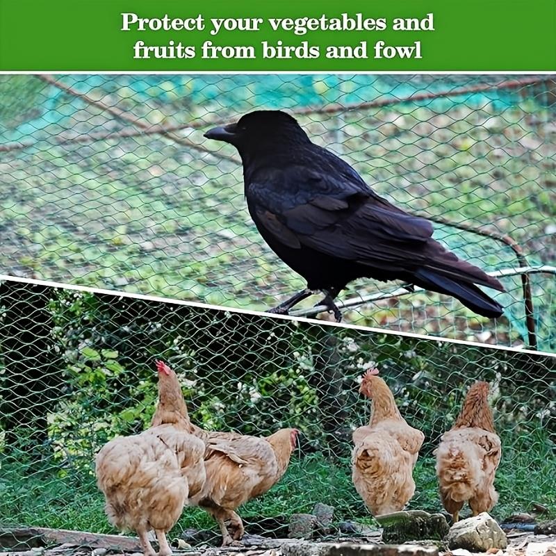 Garden Plant Protection Net, Bird and Animal Barrier, Fruit Trees, Vegetables, Flowers, Vine Climbing, Poultry Fence, Fish Pond Guard