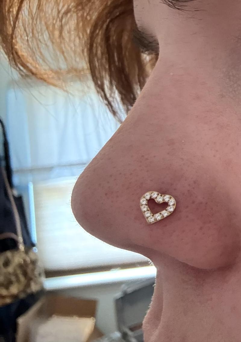 20G Nose Studs for Women 3PCS. Delicate Heart-shaped CZ Nose StudsHypoallergenic 316L Surgical Stainless Steel Piercing Jewelry. ou fter bodyjewelry bat septum Gold Plated Small Hoop Earrings Set Trendy Sterling S faux industrial cartilage tragus earrin 20G Nose Studs for Women 3PCS. Delicate Heart-shaped CZ Nose StudsHypoallergenic 316L Surgical Stainless Steel Piercing Jewelry. ou fter bodyjewelry bat septum Gold Plated Small Hoop Earrings Set Trendy Sterling S faux industrial cartilage tragus earrin