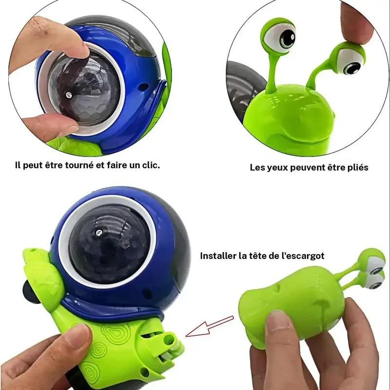 Interactive Musical Light-Up Snail & Hermit Crab Toy, Unisex Sensory Educational Gift for Kids (Batteries Not Included)