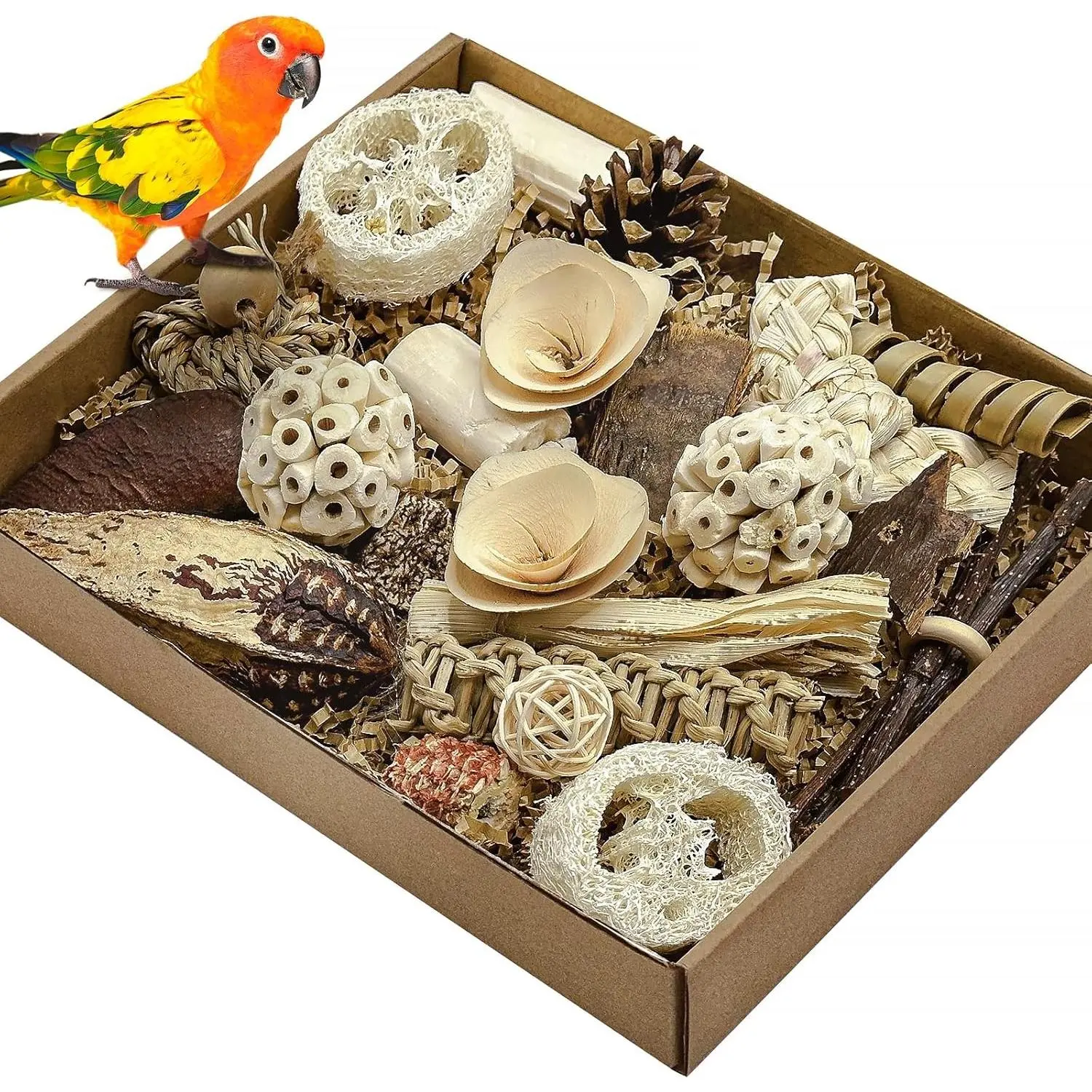Foraging Parrot Shredding Toy Box Chewing Toys for Conure Cockatiel Lovebird Parakeet Budgie Small-Medium Birds Nature Color