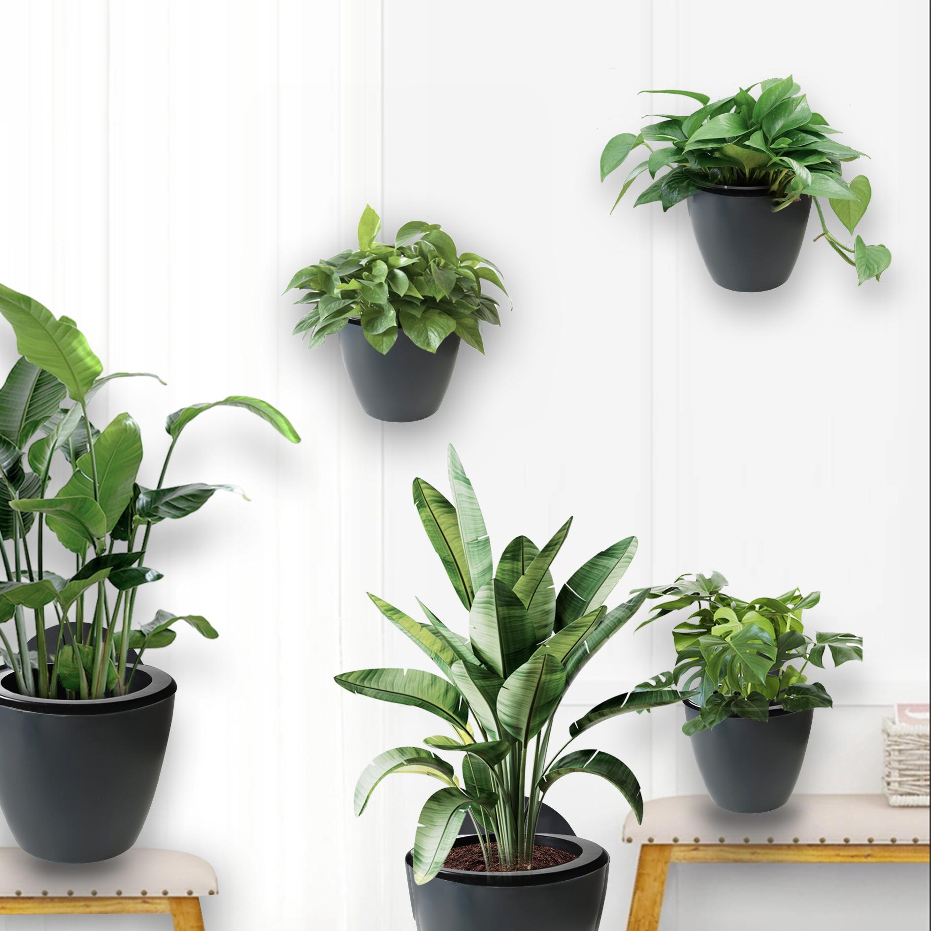 dealsforyoudays Netuera 7Pack Self-watering Plant Flower Pot Wall Hanging Plastic Planters with Hook