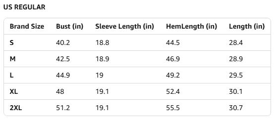 Danedvi Womens Oversized Long Sleeve Tops Casual T Shirts Loose Crew Neck Tunic Tee Shirts Blouse