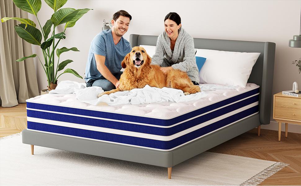 14 Inch Double Queen Size Bed, Hybrid Cooling Gel Memory Foam and Pocket Spring Mattress, Medium Firm Support, No Fiberglass, Washable Mattress, Medium Firm Comfortable Sleep, Sweet Night Bed,new house 14 Inch Double Queen Size Bed, Hybrid Cooling Gel Memory Foam and Pocket Spring Mattress, Medium Firm Support, No Fiberglass, Washable Mattress, Medium Firm Comfortable Sleep, Sweet Night Bed,new house