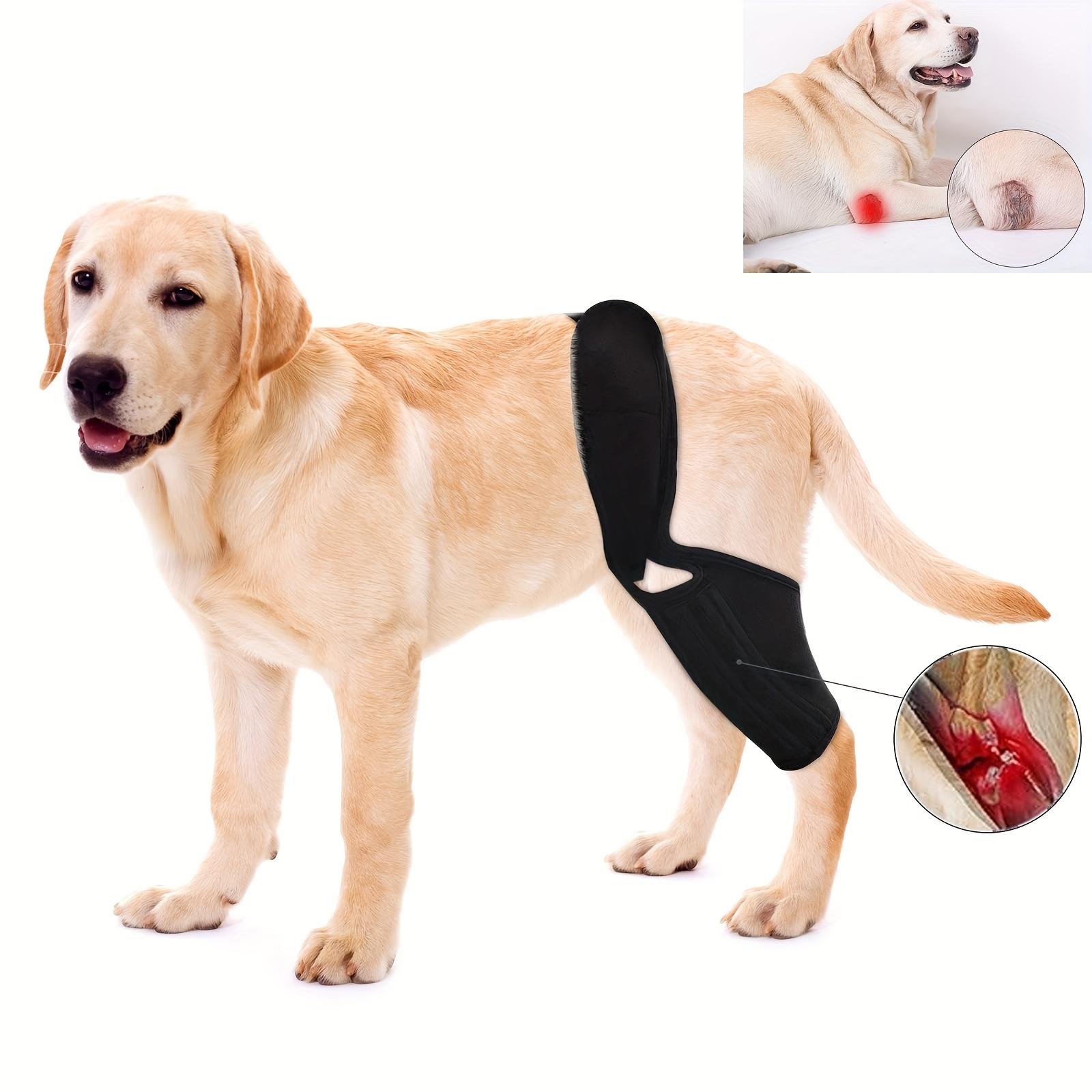 Adjustable Dog Rehabilitation Suit, Durable Breathable Polyester, Elbow Support, Post-Surgery & Joint Support, Prevents Licking, Secure Fit