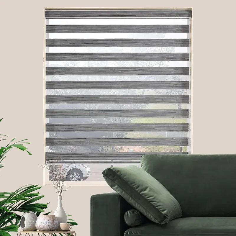 Zebra Blinds for Windows Free-Stop Sheer Shades Dual Layer Roller Light Filtering Light Control Blinds for Indoor Windows Privacy(19" W X 72" H, Grey)