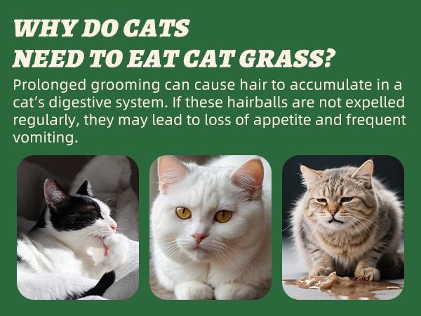 Wellix 7.5oz Cat & Dog Cat Grass Food Topper - Chicken, Egg Yolk, Cat Grass | Freeze Dried Chicken Formula | Low Calorie | Support Hairball Control & Gut Health | Natural, Nutritious, Yummy