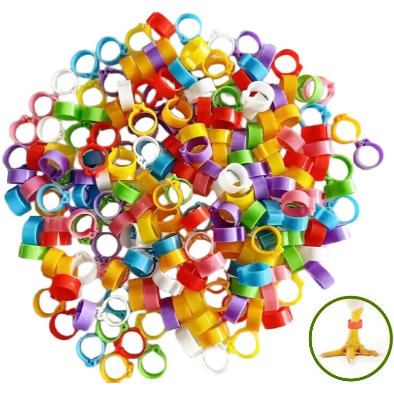Colorful Parrot Pigeon Foot Rings Set of 50, No-Word Identifier Bands, Bird Training Tools, Plastic Anti-Drop Feet Clips, Pet Bird Accessories