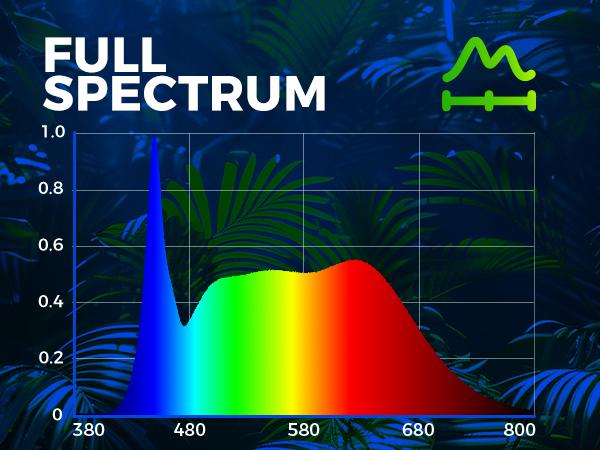 Barrina T8 Plant Grow Lights, 4FT 5000K Full Spectrum Daylight White, 252W(6 x 42W, 1400W Equivalent), V-Shape with Reflector Combo, 6 Packs