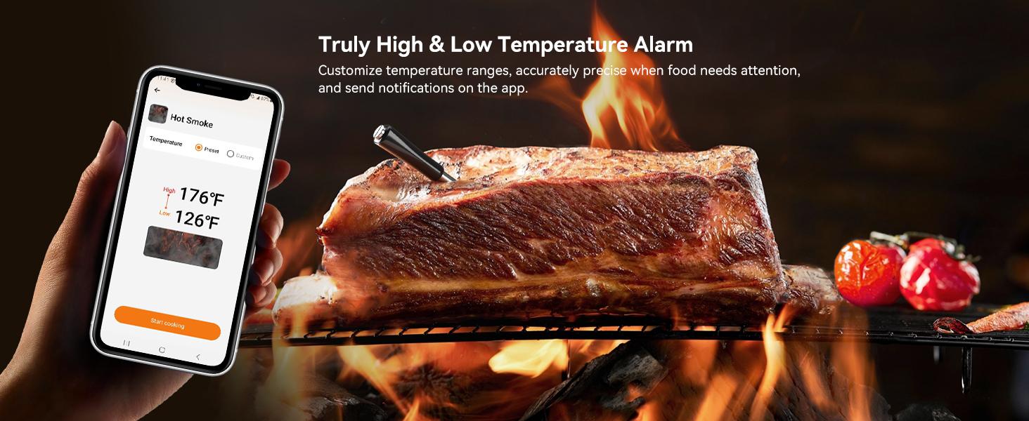 INBKIRD meat thermometer,WIFI wireless thermometer, suitable for cooking, magnetic suction,intelligent temperature alarm, kitchen tools,Holiday Gifts-TikTokShopHolidayHaul