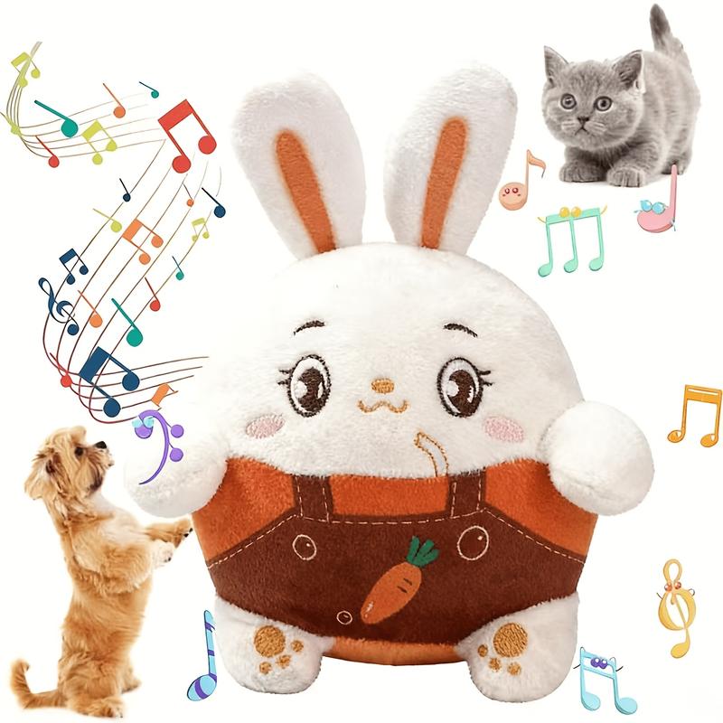 Carrot Rabbit