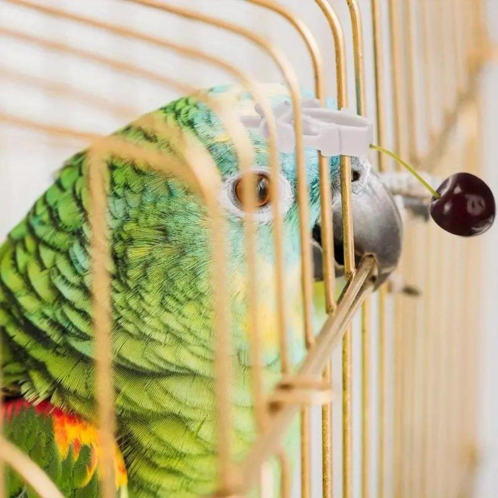 3 pcs Small Pet Bird Food Rack Parrot Fruit & Vegetable Clip Cuttlefish Bone Feeder Bird cage accessories Hanging Bird Feeder Bird Supplies