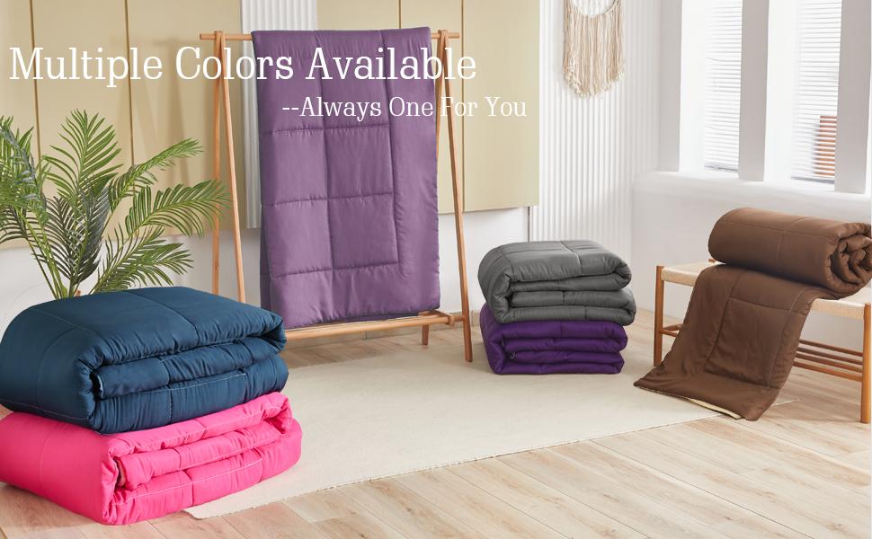 Exclusivo Mezcla Lightweight Reversible 2/3-Piece Comforter Set All Seasons, Down Alternative Comforter with Pillow Shams