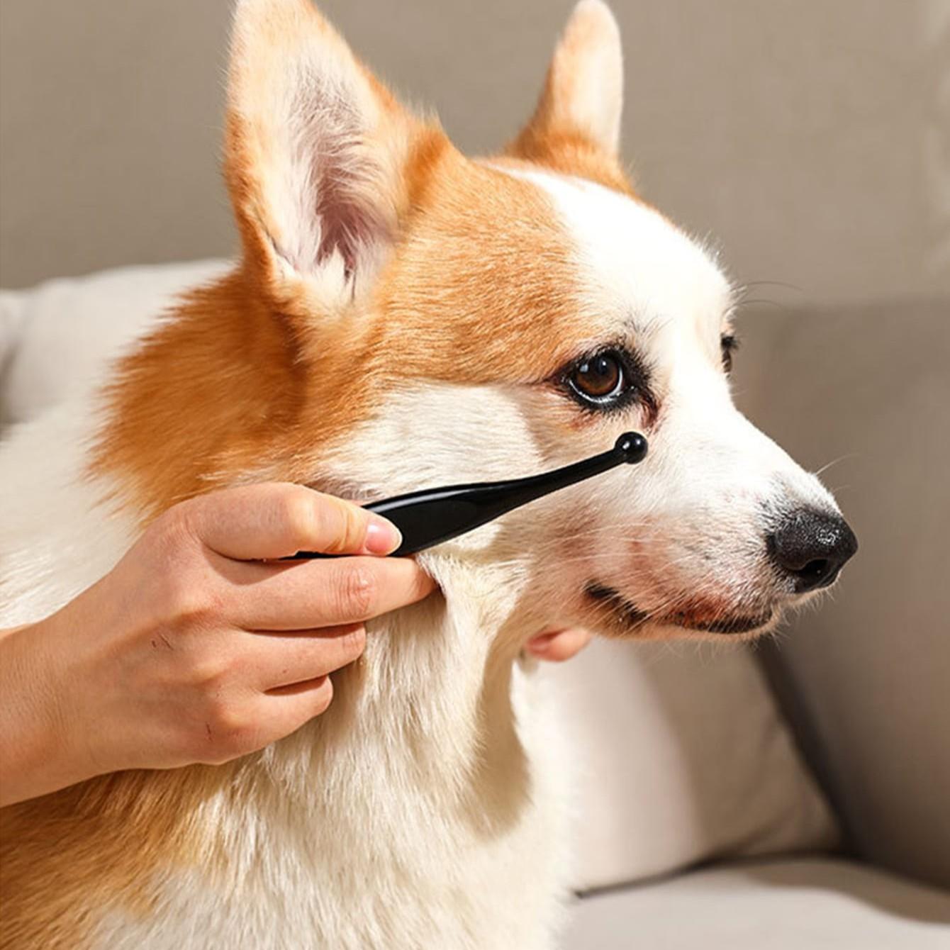Pet Eye Cleaning Brush, Dog Tear Stain Remover, Puppy Eyelash Brush, Pet Care Supplies, Grooming Products, Gentle & Effective, Easy to Use