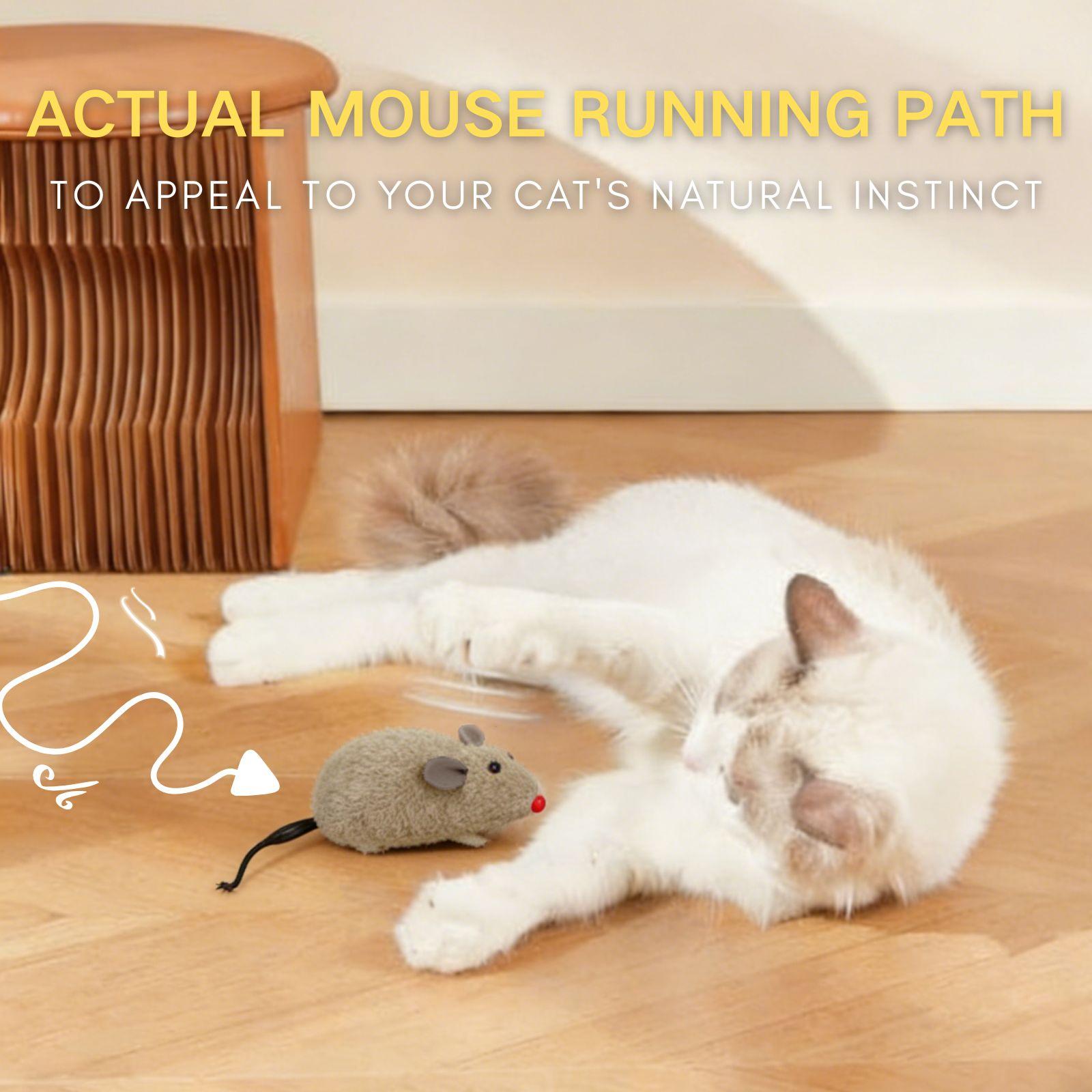 1pc Interactive Cat Toy Mouse, Plush Toy - Durable Plastic, No Batteries Needed, Suitable for Medium Breeds, Fun Cat Toy | Interactive Mouse Toy, Indoor Cat Interactive Toy, Hot Selling in Worldwide, Kittens